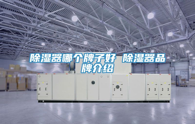 亚洲欧美一级特黄大片 除湿器哪个牌子好 除湿器品牌介绍