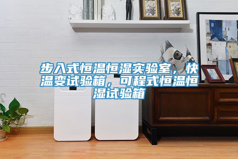 亚洲人成综合第一网站 步入式恒温恒湿实验室，快温变试验箱，可程式恒温恒湿试验箱