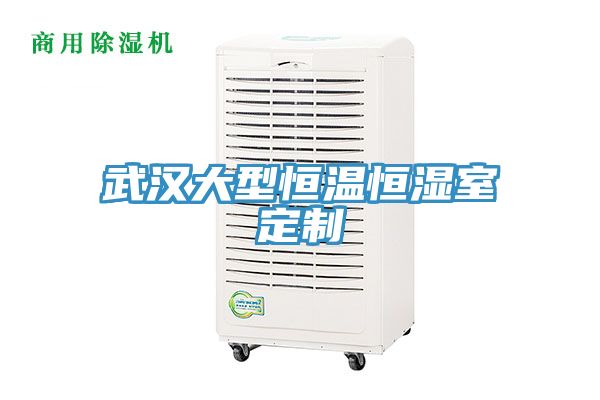 亚洲欧美一级特黄大片 武汉大型恒温恒湿室定制