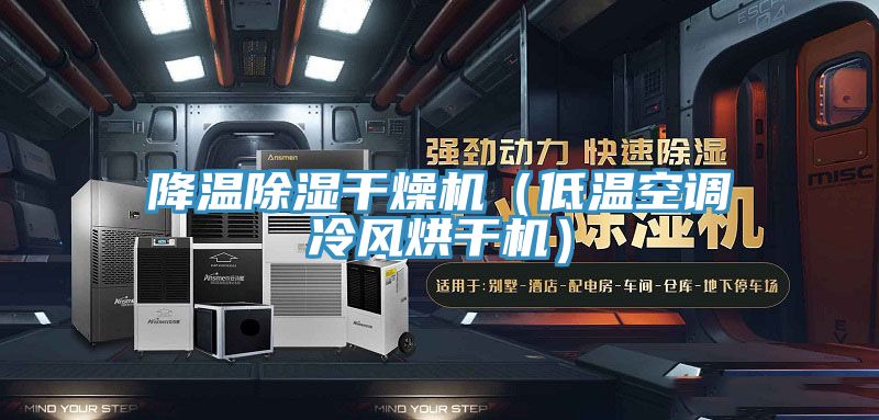 亚洲乱码一区二区三区 降温除湿干燥机（低温空调冷风烘干机）