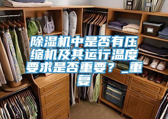 亚洲欧美一级特黄大片 除湿机中是否有压缩机及其运行温度要求是否重要？_重复