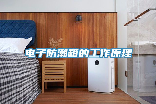 亚洲乱码一区二区三区 电子防潮箱的工作原理