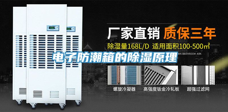 亚洲人成综合第一网站 电子防潮箱的除湿原理