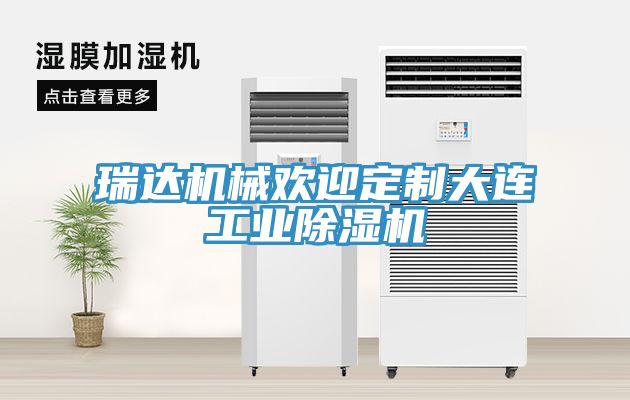 亚洲欧美一级特黄大片 瑞达机械欢迎定制大连工业除湿机