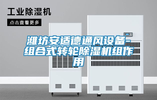 亚洲欧美一级特黄大片 潍坊安适德通风设备-组合式转轮除湿机组作用