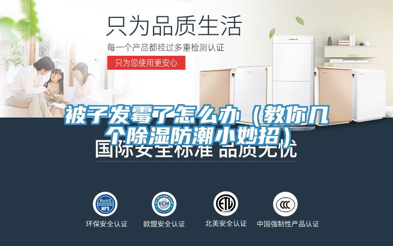 亚洲乱码一区二区三区 被子发霉了怎么办（教你几个除湿防潮小妙招）