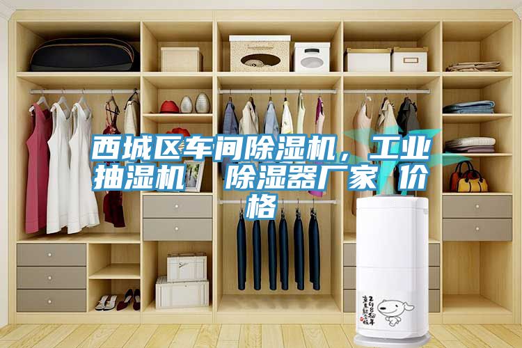 亚洲人成综合第一网站 西城区车间除湿机，工业抽湿机  除湿器厂家 价格