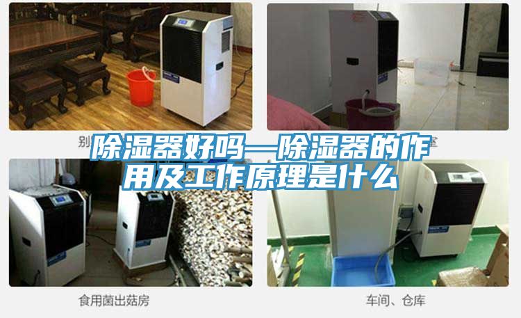 亚洲人成综合第一网站 除湿器好吗—除湿器的作用及工作原理是什么