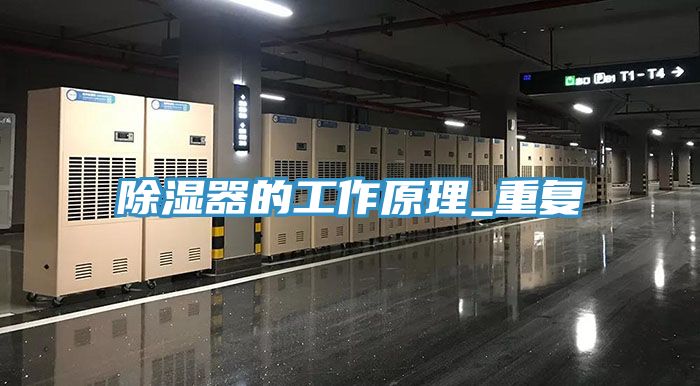 亚洲人成综合第一网站 除湿器的工作原理_重复