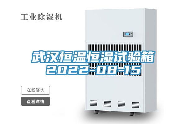 亚洲人成综合第一网站 武汉恒温恒湿试验箱2022-08-15