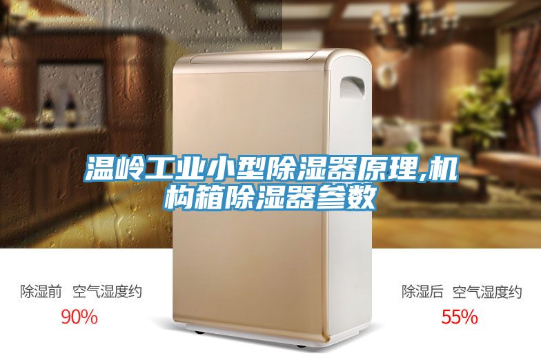 亚洲人成综合第一网站 温岭工业小型除湿器原理,机构箱除湿器参数