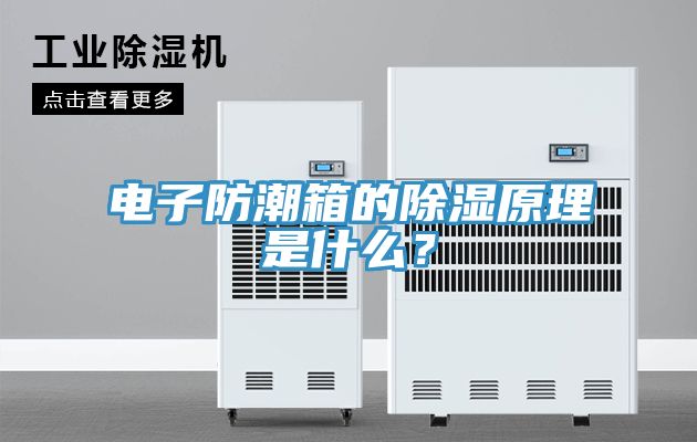 亚洲人成综合第一网站 电子防潮箱的除湿原理是什么？