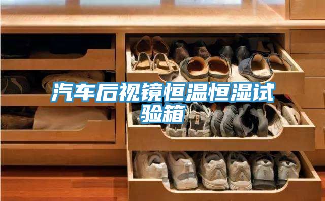 亚洲人成综合第一网站 汽车后视镜恒温恒湿试验箱