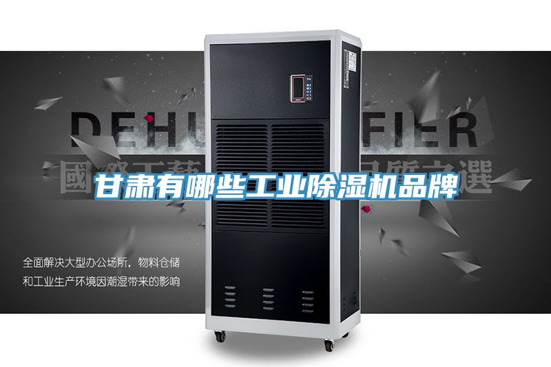 亚洲欧美一级特黄大片 甘肃有哪些工业除湿机品牌