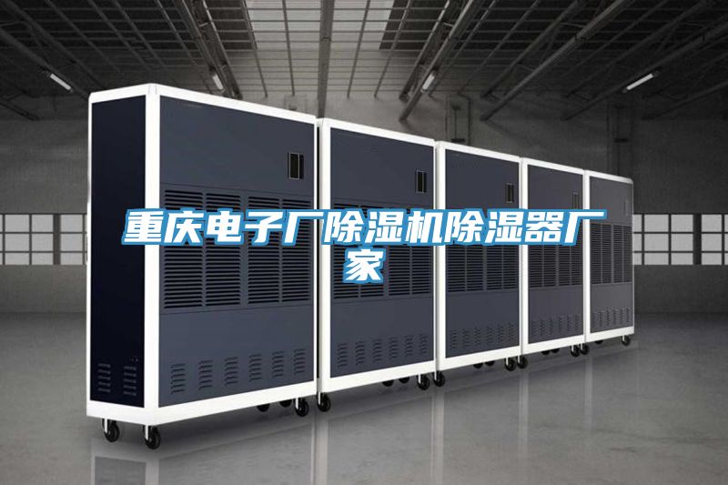 亚洲欧美一级特黄大片 重庆电子厂除湿机除湿器厂家