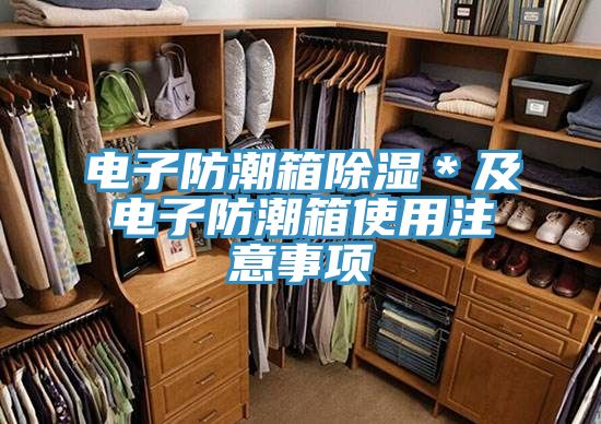 亚洲乱码一区二区三区 电子防潮箱除湿＊及电子防潮箱使用注意事项
