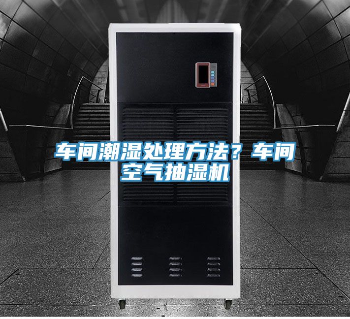 亚洲人成综合第一网站 车间潮湿处理方法？车间空气抽湿机