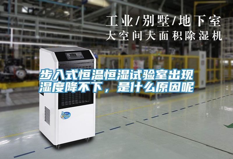 亚洲人成综合第一网站 步入式恒温恒湿试验室出现湿度降不下，是什么原因呢