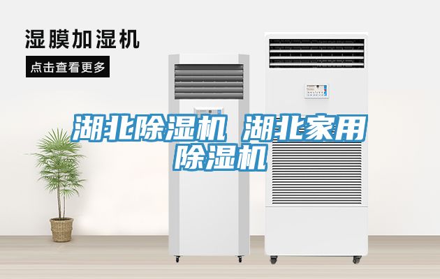 亚洲人成综合第一网站 湖北除湿机◆湖北家用除湿机