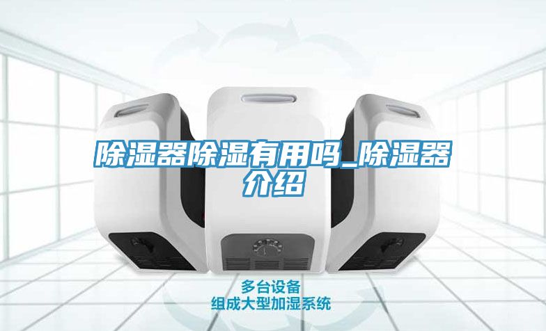亚洲乱码一区二区三区 除湿器除湿有用吗_除湿器介绍