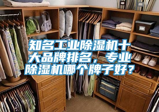 亚洲人成综合第一网站 知名工业除湿机十大品牌排名，专业除湿机哪个牌子好？