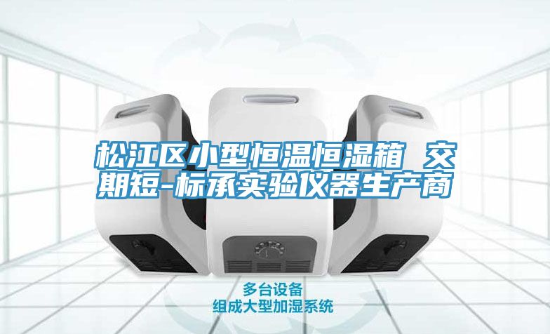 亚洲人成综合第一网站 松江区小型恒温恒湿箱 交期短-标承实验仪器生产商