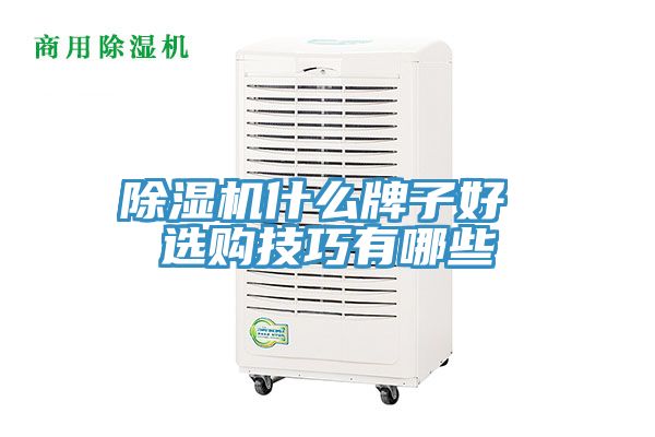 亚洲人成综合第一网站 除湿机什么牌子好 选购技巧有哪些