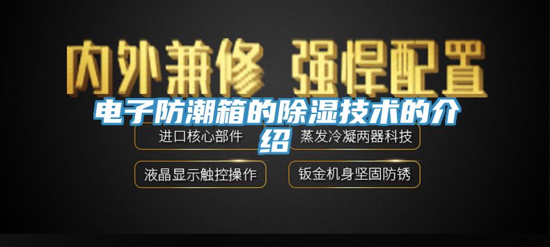 亚洲人成综合第一网站 电子防潮箱的除湿技术的介绍