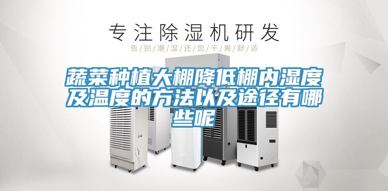 亚洲欧美一级特黄大片 蔬菜种植大棚降低棚内湿度及温度的方法以及途径有哪些呢