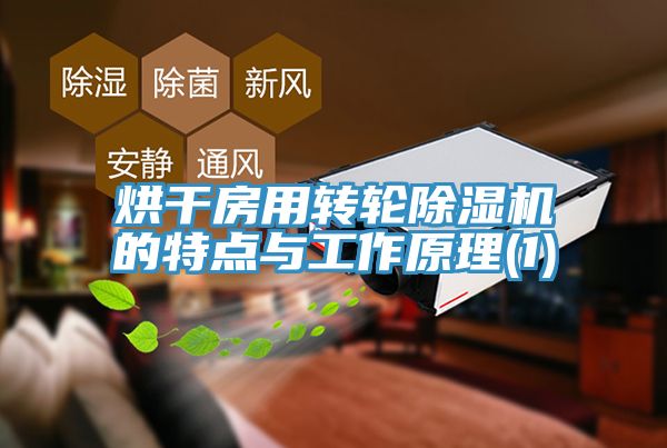 亚洲欧美一级特黄大片 烘干房用转轮除湿机的特点与工作原理(1)