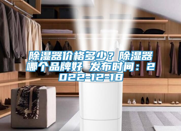 除湿器价格多少？除湿器哪个品牌好 发布时间：2022-12-18