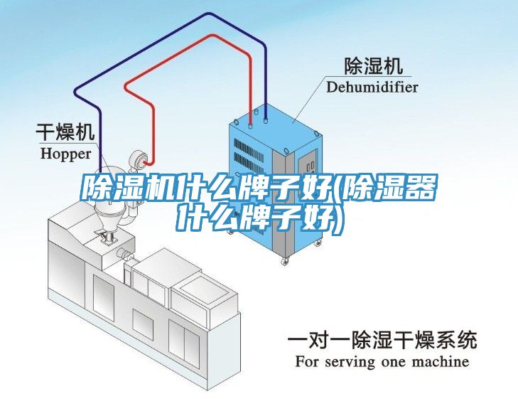 亚洲乱码一区二区三区 除湿机什么牌子好(除湿器什么牌子好)