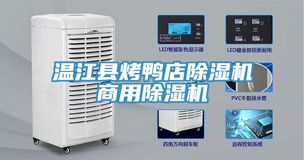 亚洲欧美一级特黄大片 温江县烤鸭店除湿机商用除湿机