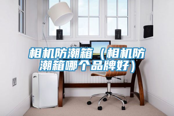 亚洲欧美一级特黄大片 相机防潮箱（相机防潮箱哪个品牌好）