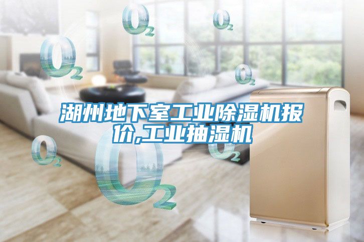 亚洲人成综合第一网站 湖州地下室工业除湿机报价,工业抽湿机
