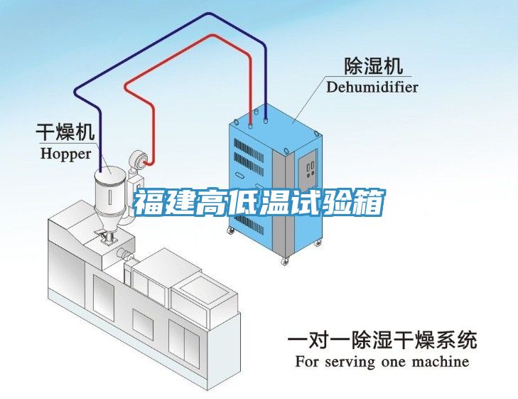 亚洲人成综合第一网站 福建高低温试验箱