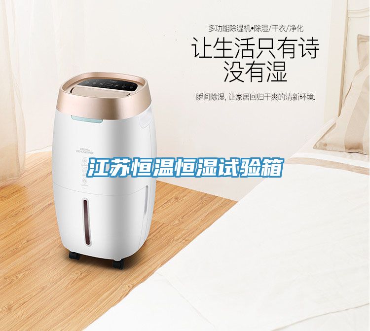 亚洲乱码一区二区三区 江苏恒温恒湿试验箱