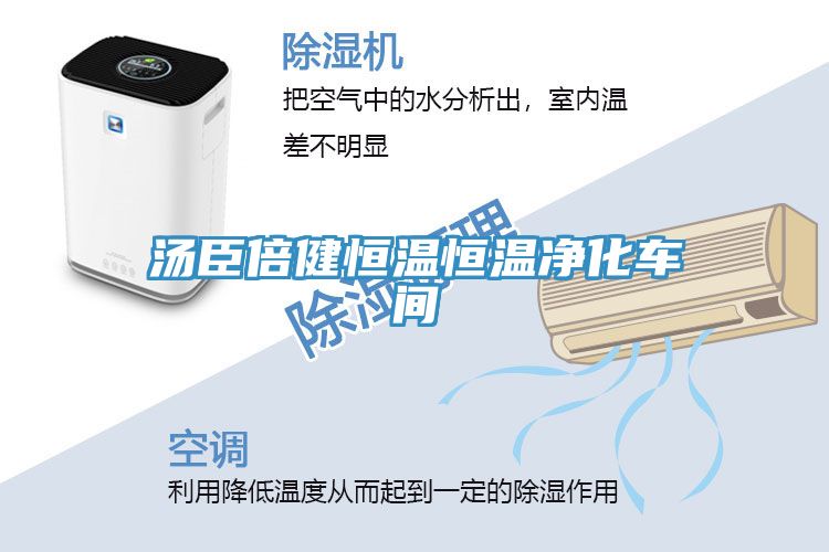 亚洲欧美一级特黄大片 汤臣倍健恒温恒温净化车间