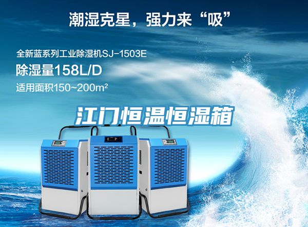 亚洲人成综合第一网站 江门恒温恒湿箱