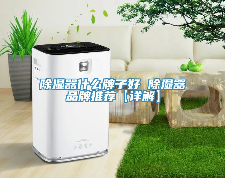 亚洲人成综合第一网站 除湿器什么牌子好 除湿器品牌推荐【详解】