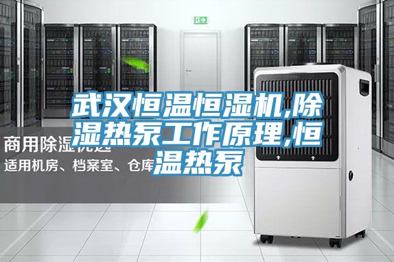 亚洲欧美一级特黄大片 武汉恒温恒湿机,除湿热泵工作原理,恒温热泵