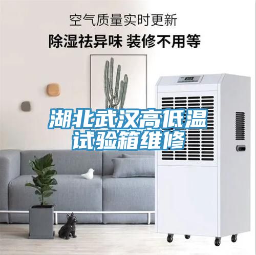 亚洲欧美一级特黄大片 湖北武汉高低温试验箱维修