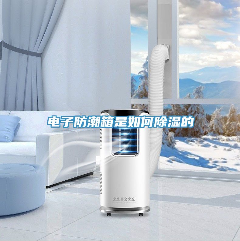 亚洲乱码一区二区三区 电子防潮箱是如何除湿的