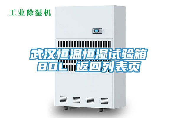 亚洲人成综合第一网站 武汉恒温恒湿试验箱80L 返回列表页
