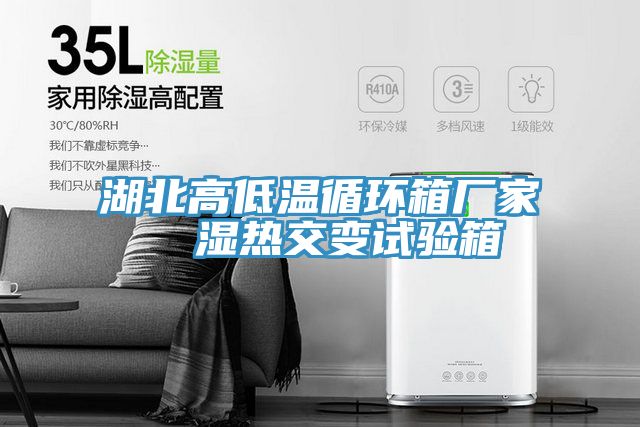 亚洲乱码一区二区三区 湖北高低温循环箱厂家  湿热交变试验箱