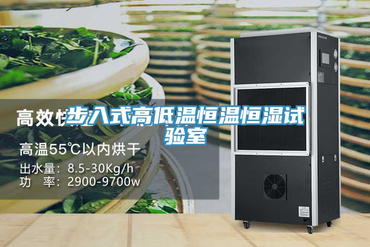 亚洲人成综合第一网站 步入式高低温恒温恒湿试验室
