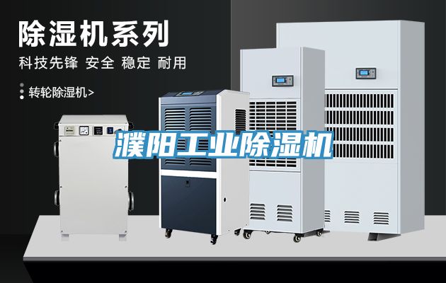 亚洲欧美一级特黄大片 濮阳工业除湿机