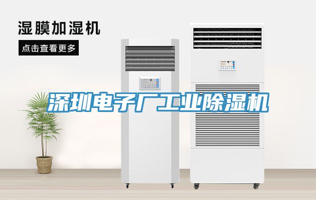 亚洲欧美一级特黄大片 深圳电子厂工业除湿机