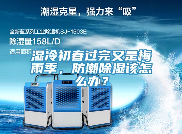 亚洲人成综合第一网站 湿冷初春过完又是梅雨季，防潮除湿该怎么办？