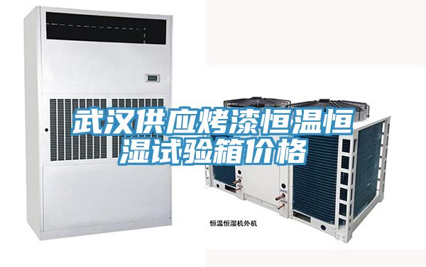 亚洲人成综合第一网站 武汉供应烤漆恒温恒湿试验箱价格